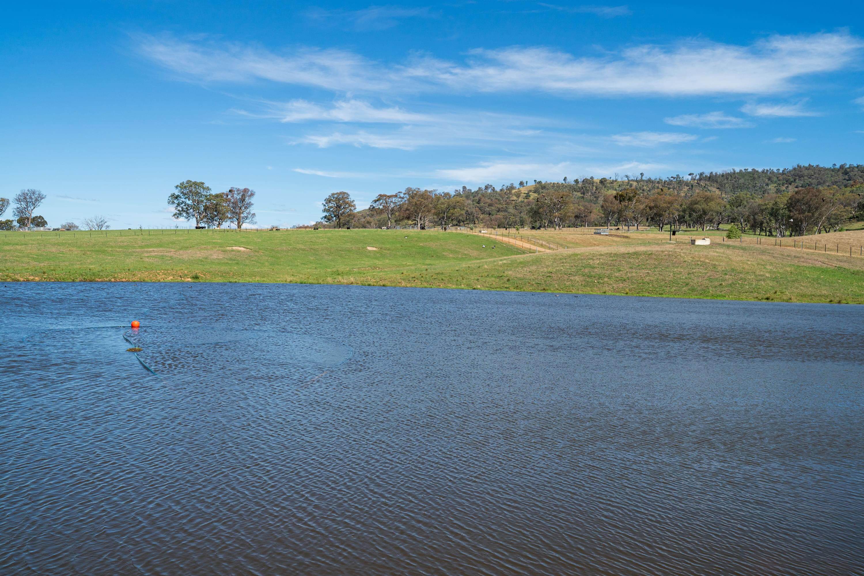 PAVEY ANGUS CUDGEWA-00361