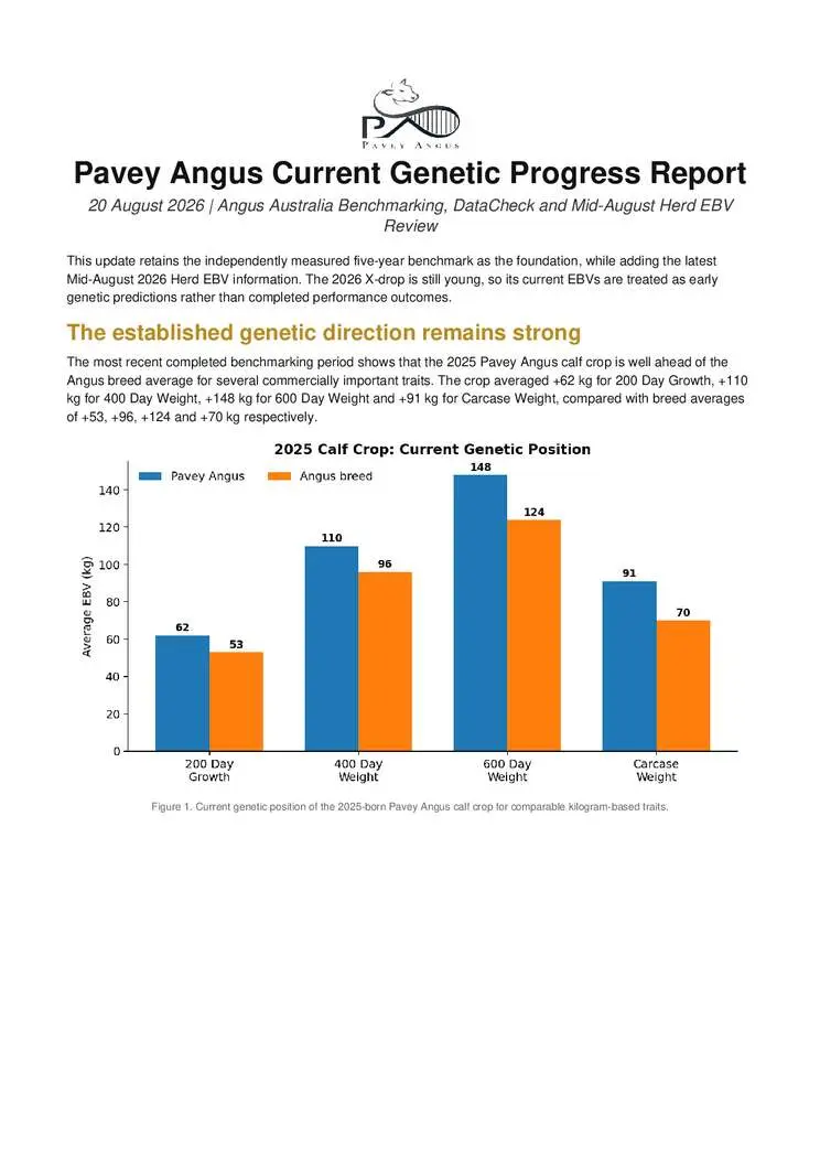 Pavey_Angus_Current_Genetic_Progress_Report_20_August_2026 (1) Cover Page