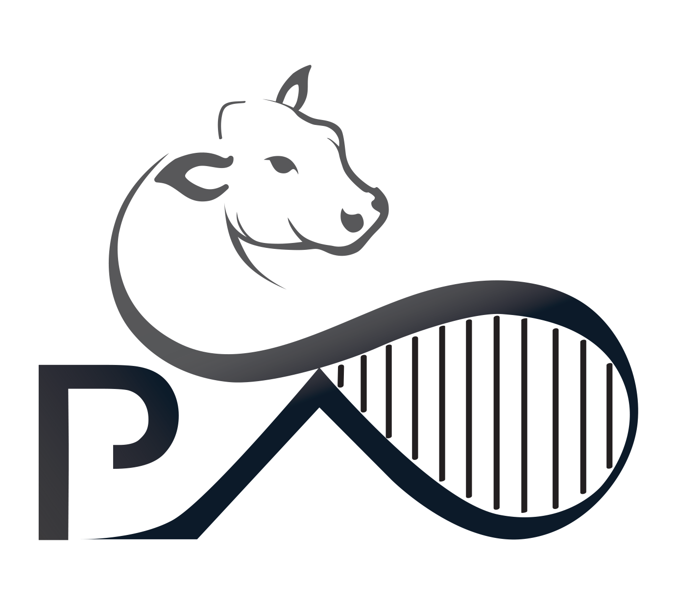 Pavey Angus Logo News