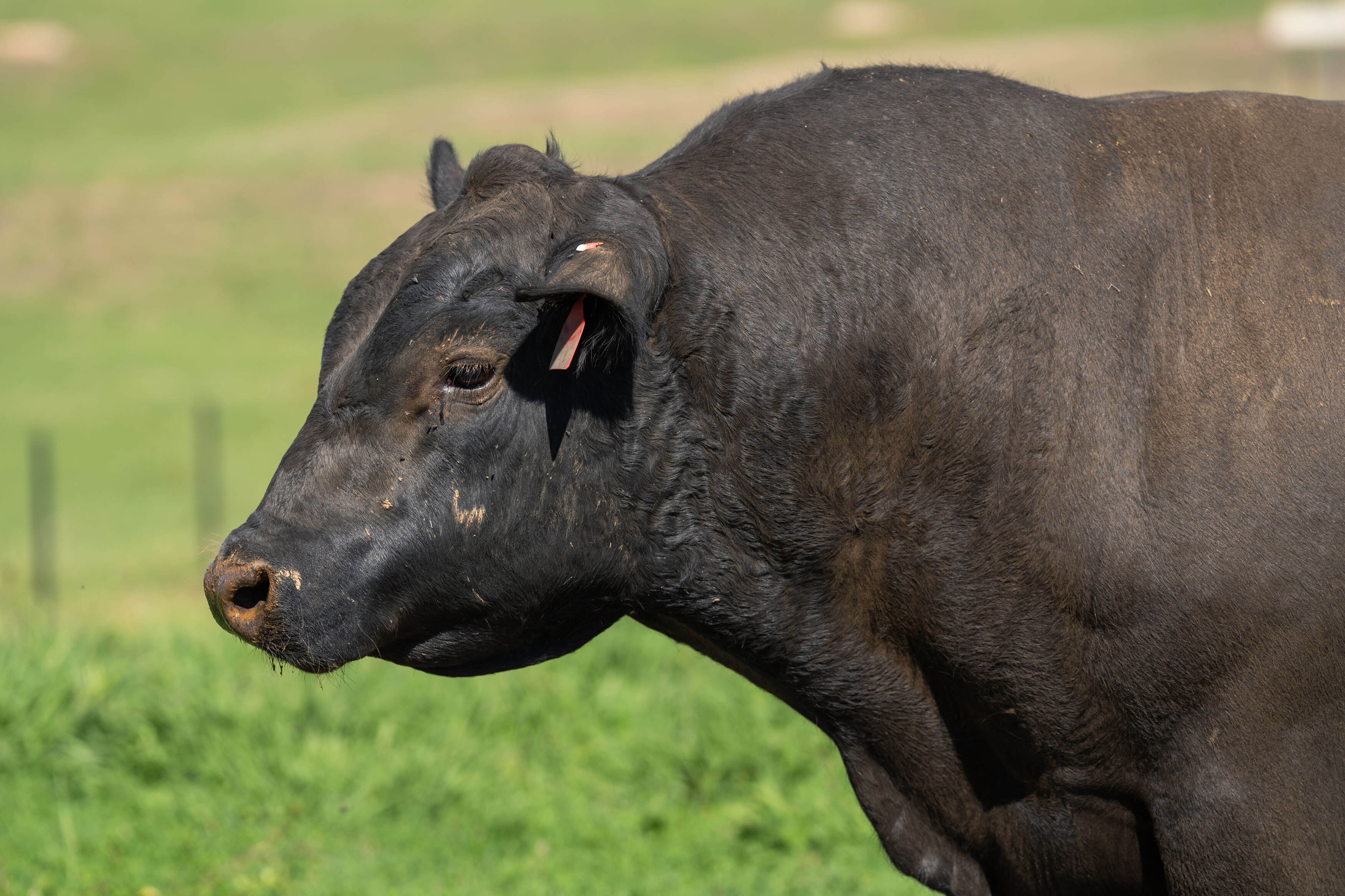 g77366c09167adaeeb14a2e270b356ba3a571d529b7437c111eda71b78d5de6fadaecff5381fc53eaa53896015d21624f