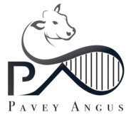 Pavey Angus Logo