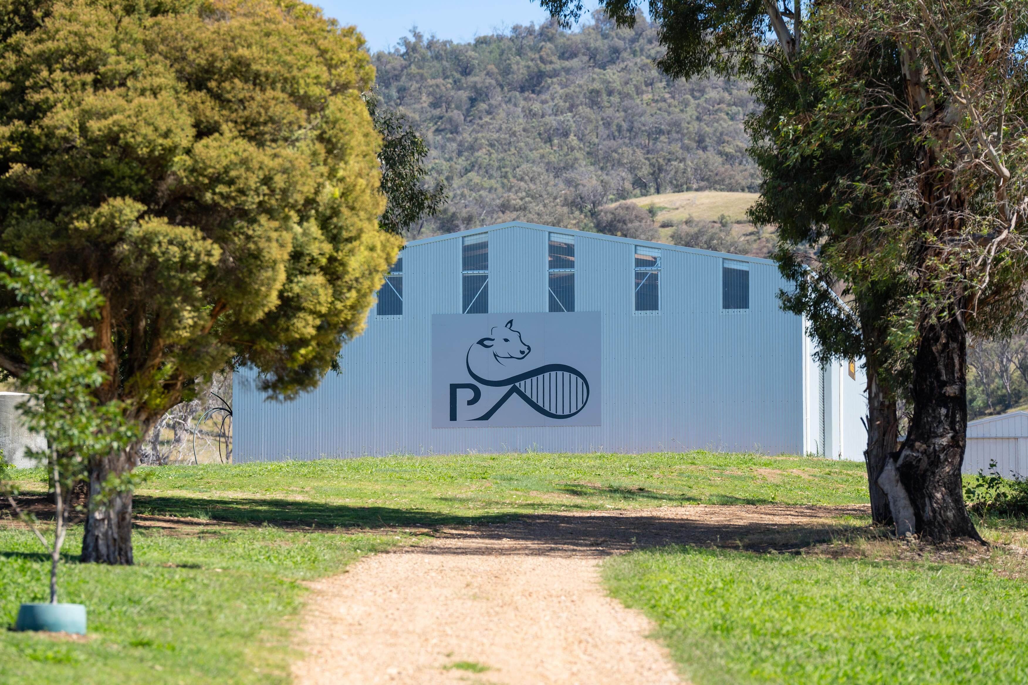 PAVEY ANGUS CUDGEWA-06582