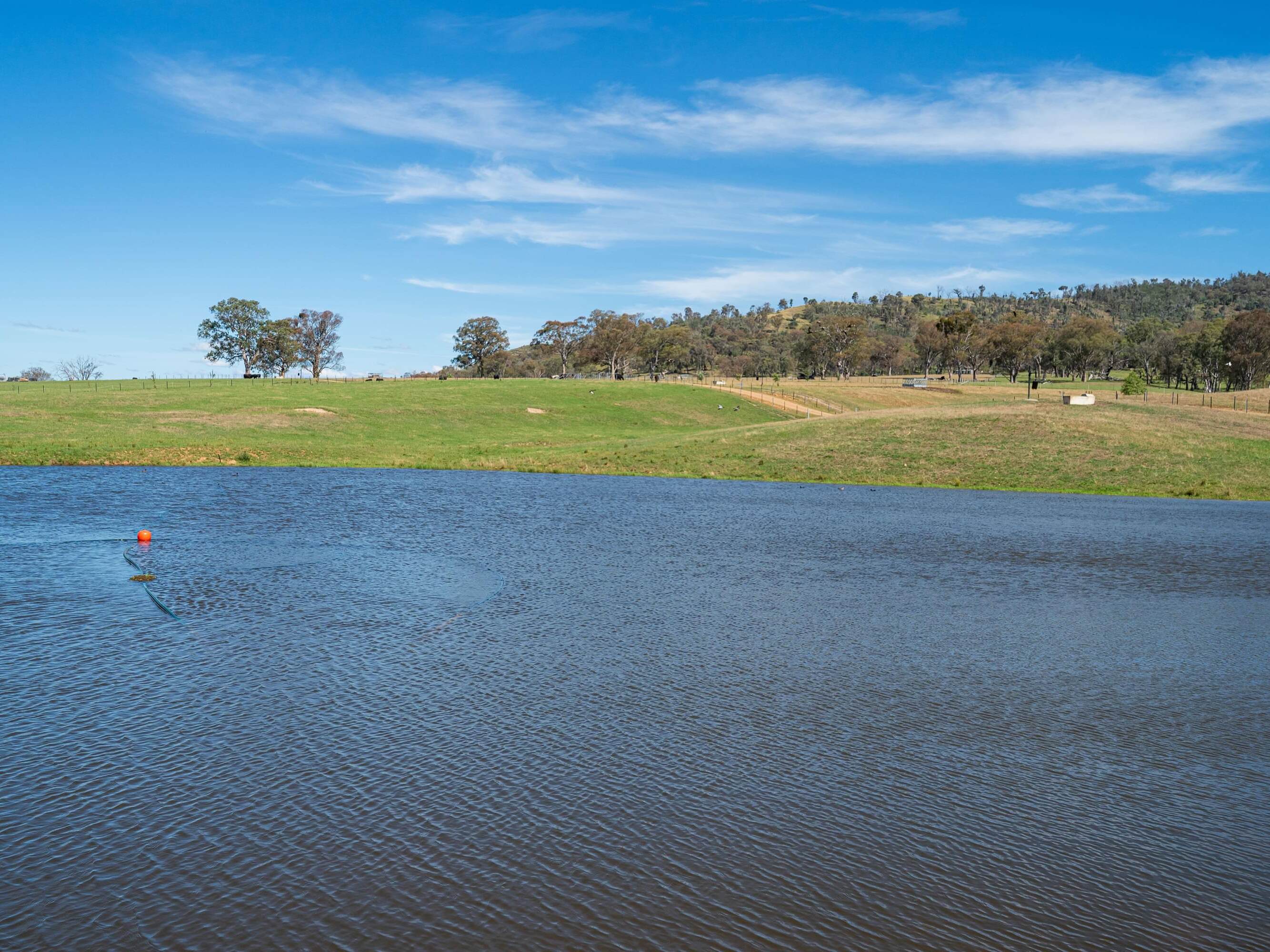 PAVEY ANGUS CUDGEWA-00361