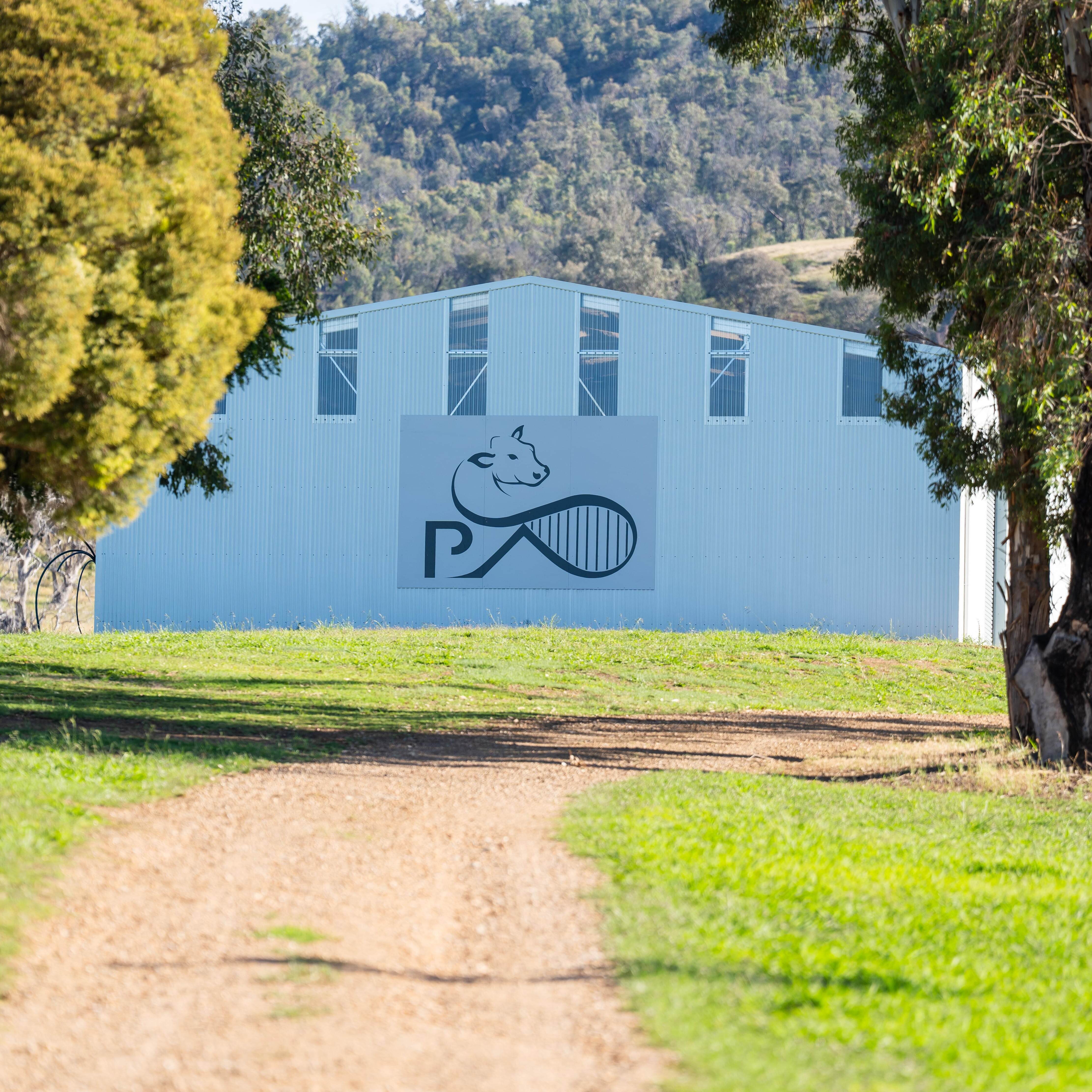 PAVEY_ANGUS_CUDGEWA-07143[1]