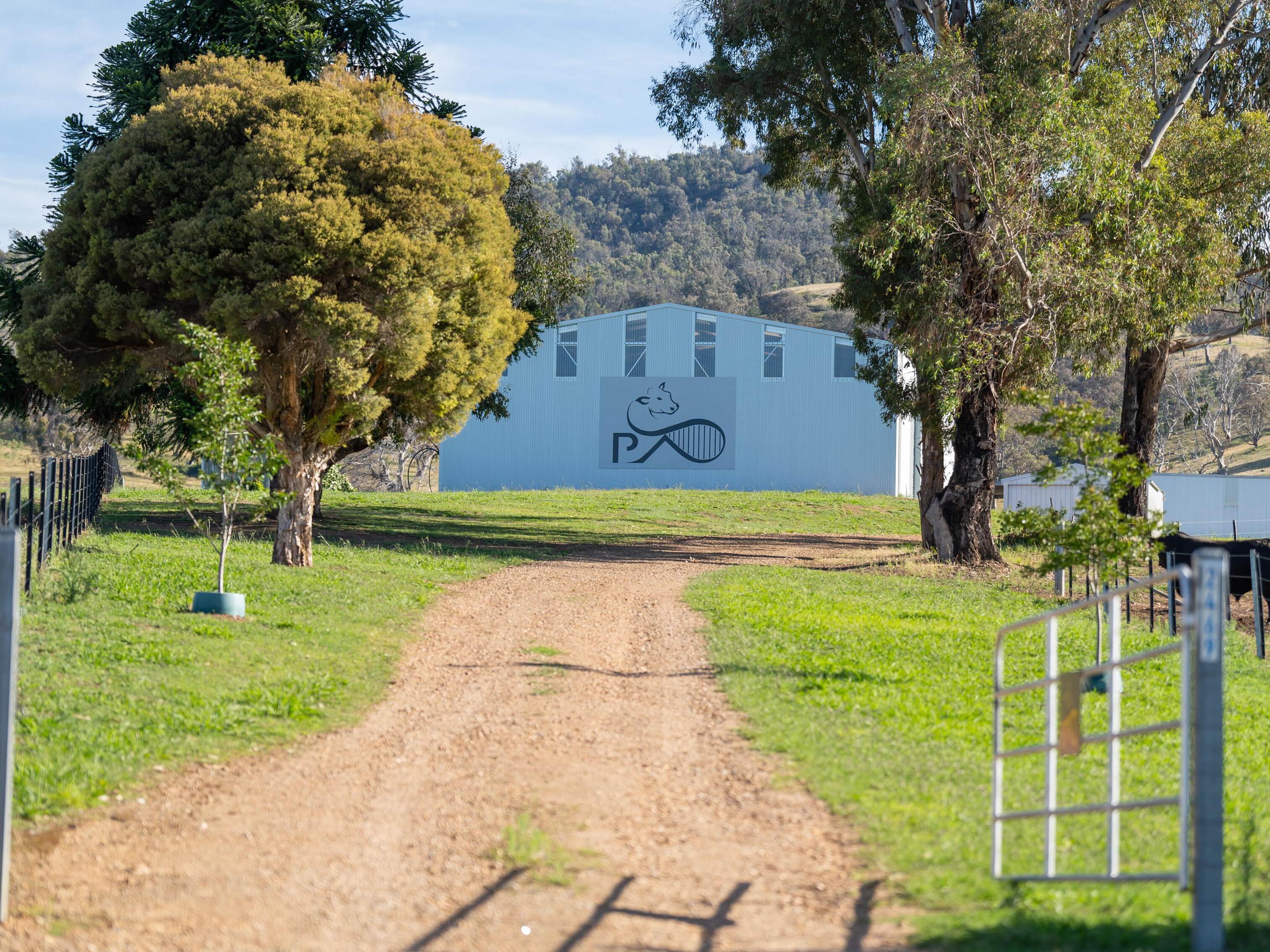 PAVEY ANGUS CUDGEWA-07142