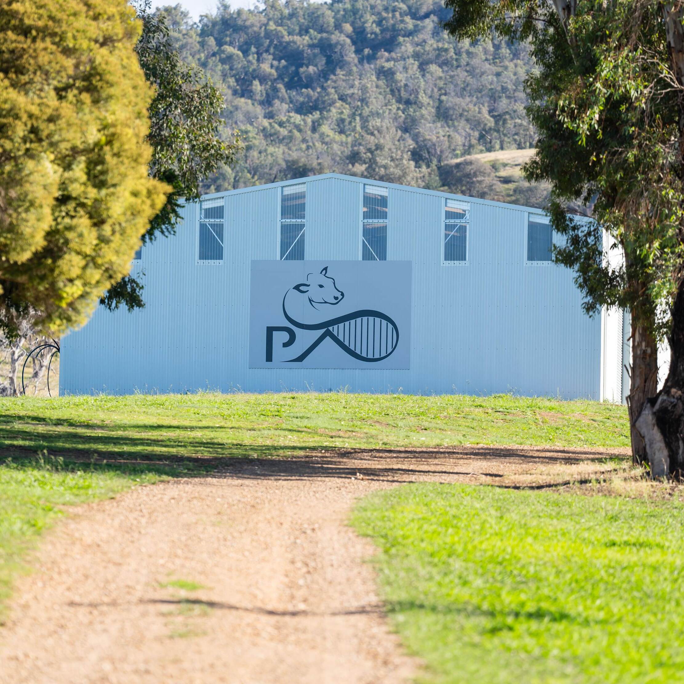 PAVEY ANGUS CUDGEWA-07143